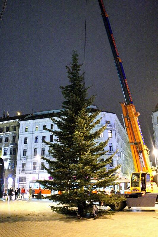 Náměstí Svobody má vánoční strom. Před spadnutím ho chrání dřevěné hranoly.