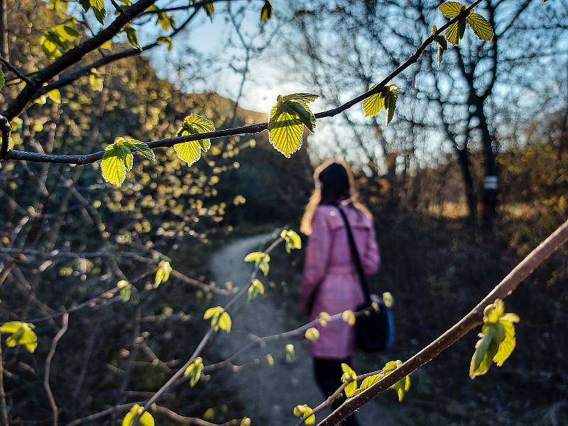 Stránská skála je skalní útvar ležící v nejsevernější části katastru brněnské městské části Brno-Slatina. Nachází se mezi Slatinou a Líšní, na rozhraní černovické a tuřanské terasy. V minulosti byla součástí katastrálního území Židenice. Roku 1978 byla vy