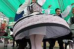 21. ročník Mezinárodní folklórního festivalu v Brně.