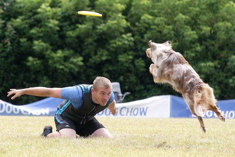 Štěkání, potlesk nebo hlasité povzbuzování. To všechno je v neděli dopoledne slyšet poblíž pavilonu Anthropos v brněnské čtvrti Pisárky. Sportovce na nedalekém fotbalovém hřiště na celý víkend vystřídali zvířecí závodníci na akci Brněnské psí dny.