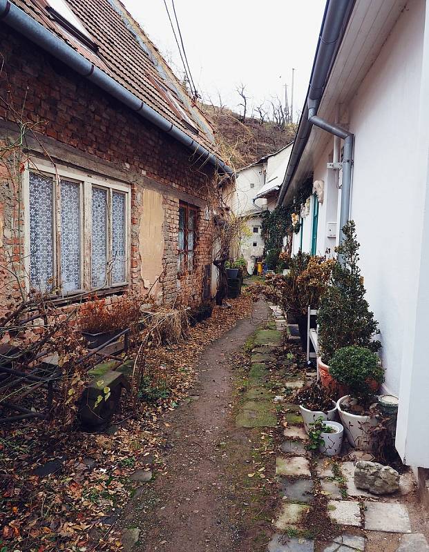 Kamenná čtvrť nedaleko centra Brna nabízí dávnou nostalgii dělnické kolonie i zajímavou současnost.