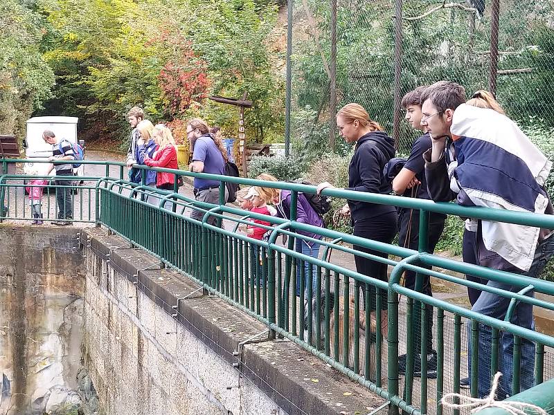 V brněnské zoo lidé oslavili Světový den zvířat.