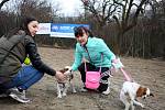 Sobotní otevření výběhu se neslo v duchu soutěží a ukázek psích sportů, jako jsou třeba dogdancing, agility nebo dogfrisbee.