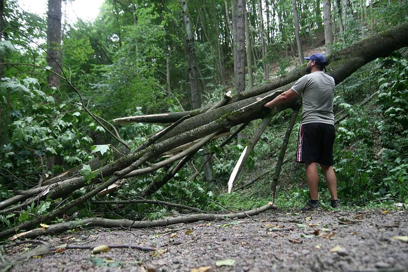 Cestu z Adamova ve směru na Křtiny lemují po bouřkách z minulého týdne vyvrácené stromy.