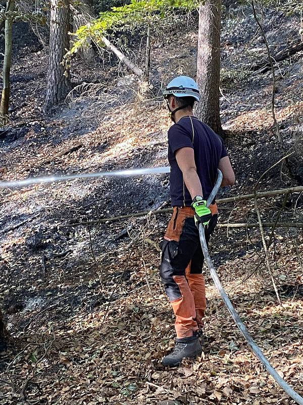 S drony proti ohni. Hasiči z jihu Moravy zaměřují v Českém Švýcarsku skrytá ohniska při likvidaci obřího lesního požáru.