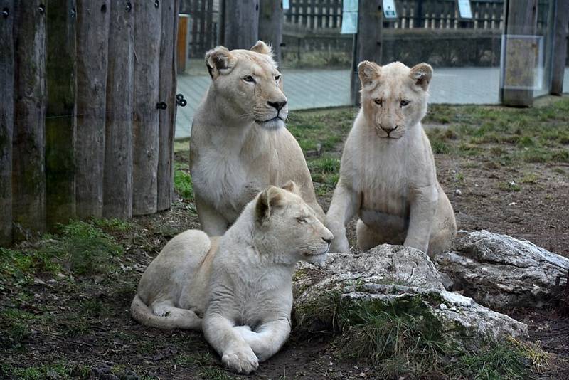 Zoo Hodonín