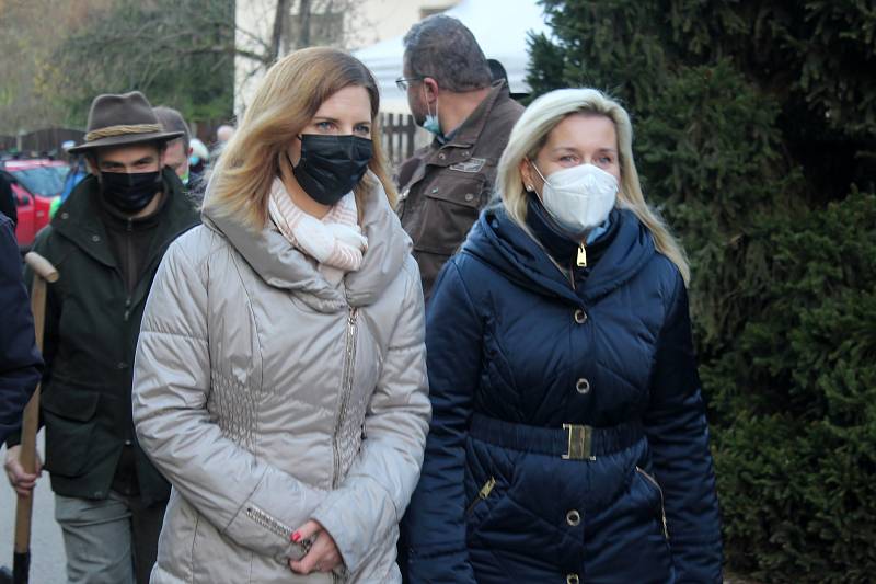 Vánoční strom od soboty stojí na brněnském náměstí Svobody. Šestnáctimetrovou jedli přivezli koňským povozem z Bílovic nad Svitavou.