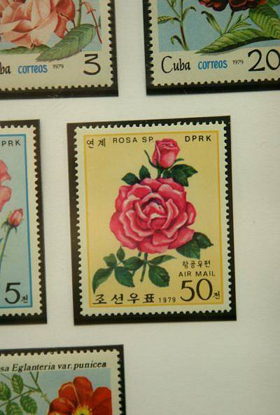 Kromě prohlížení známek si mohou Brňané odnést i otisk unikátního poštovního razítka.