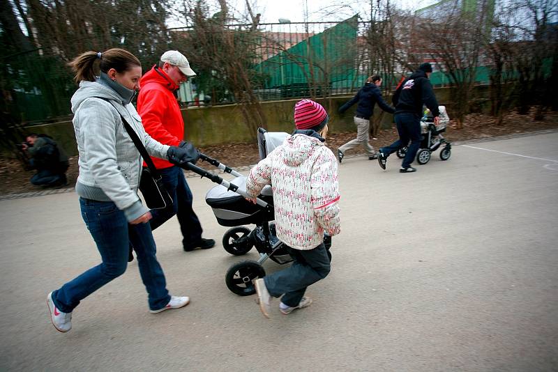 Závod maminek s kočárky v brněnském parku Lužánky.