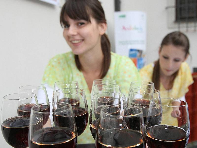 Přes deset vzorků španělského sherry vína ochutnali v úterý večer návštěvníci dvanáctého ročníku Letních shakespearovských slavností na brněnském hradě Špilberk. 