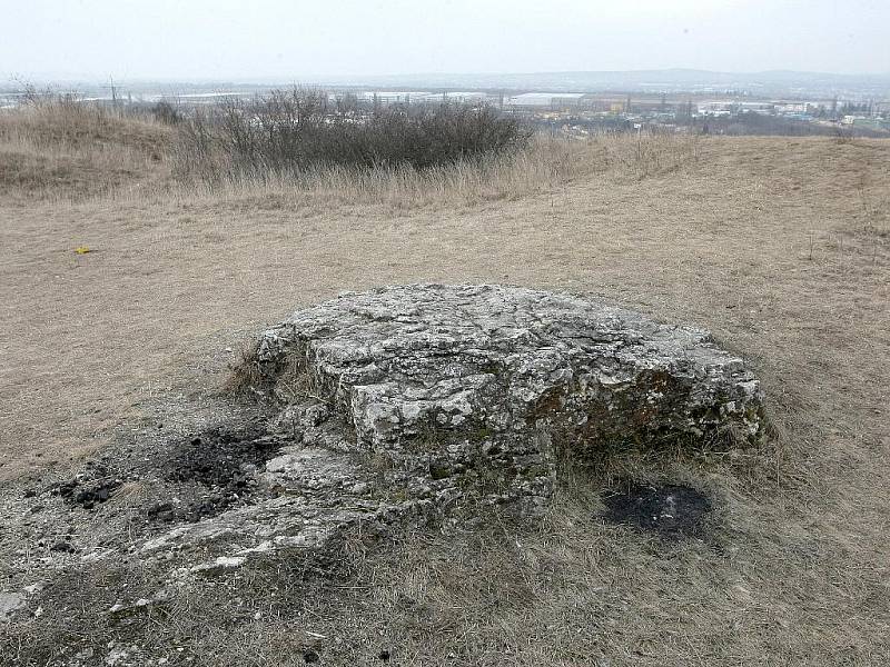 Národní přírodní památka Stránská skála je zajímavá kvůli výskytu vzácných rostlin a živočichů. Přitahuje rovněž systémem podzemních štol, které pod ní vyhloubili Němci za druhé světové války. Ze skály je také pěkný výhled prakticky na celé Brno.