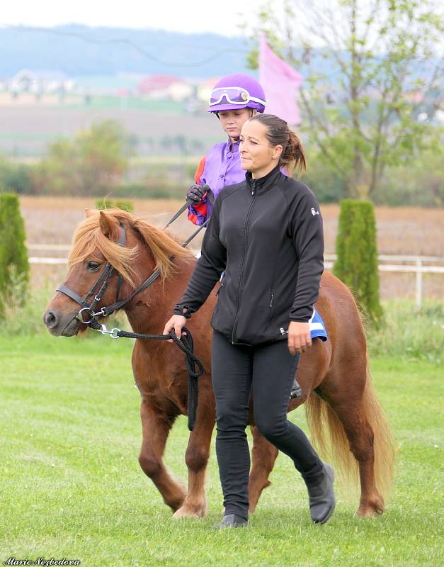 První říjnovou sobotu se letos naposledy otevřely brány dostihového závodiště v Brně-Dvorskách.