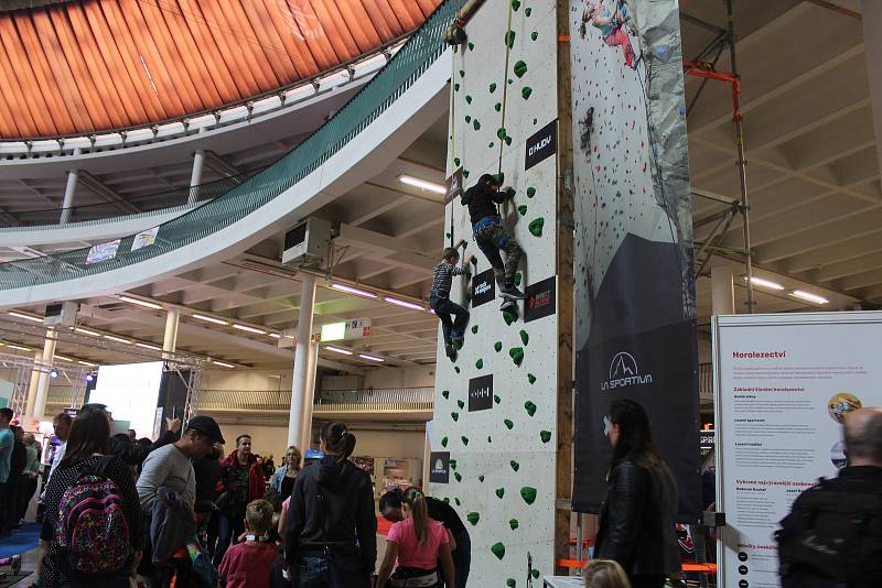 Nejrůznější druhy sportu, které se hrají ve stoje, vsedě i vleže, si mohli vyzkoušet návštěvníci festivalu Life! na brněnském výstavišti.