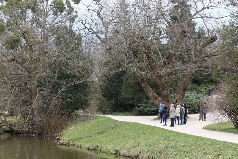 Lednice 28.3.2019 - Lednický zámecký park