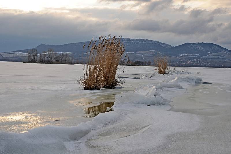 Zamrzlá Věstonická nádrže pod Pálavou, 16. února 2012.