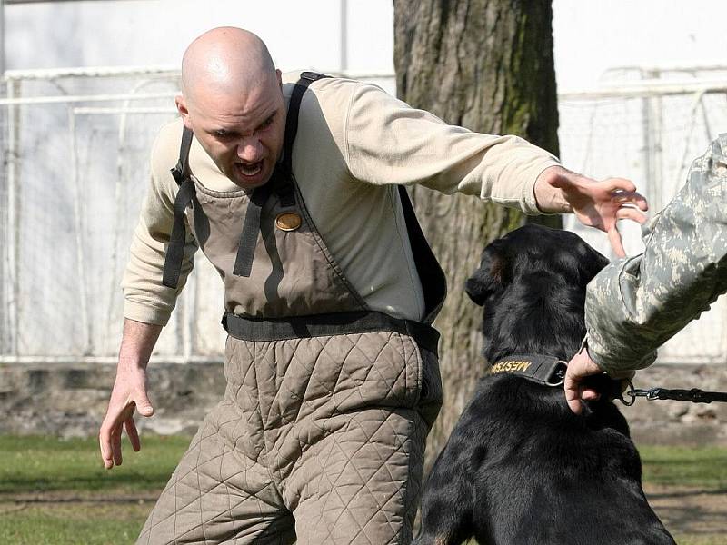 Pátý ročník Senior–Akademie v Brně.