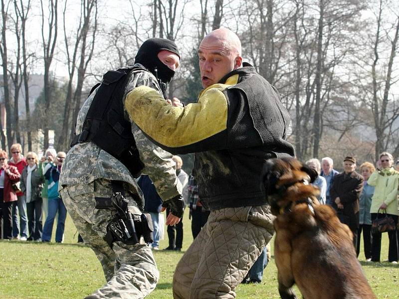 Pátý ročník Senior–Akademie v Brně.