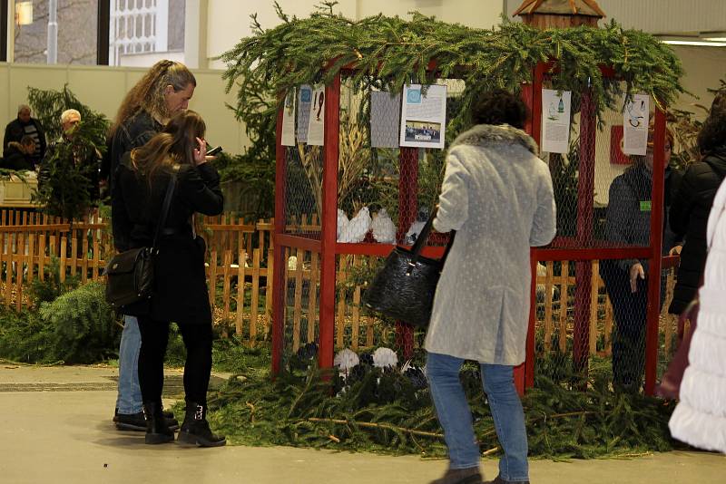 Na brněnském výstavišti se o víkendu uskutečnila výstava králíků, drůbeže, holubů, okrasného a exotického ptactva. Součástí byla také soutěž králičí hop.