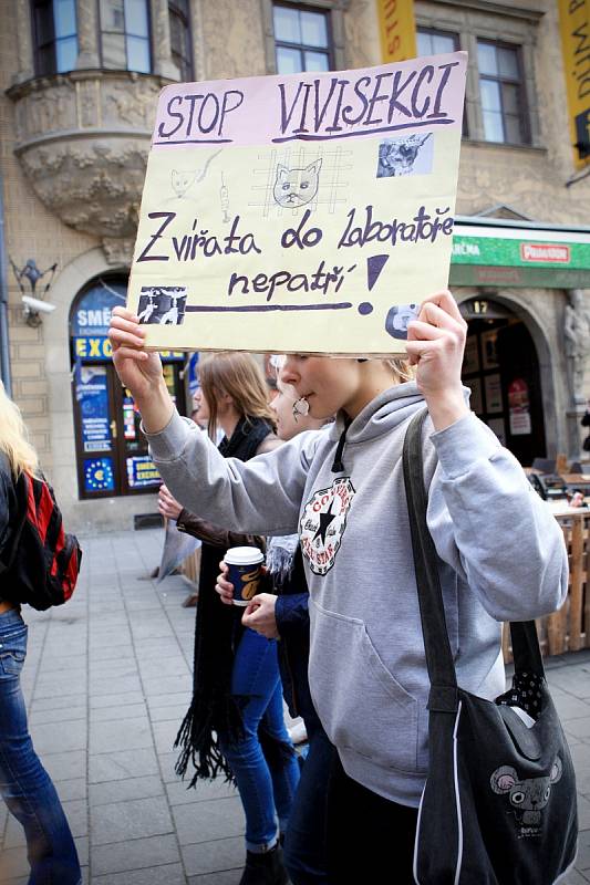 Na zneužívaní zvířat jako pokusných objektů v laboratořích upozornili v pondělí aktivisté ze skupiny Kolektiv pro zvířata.