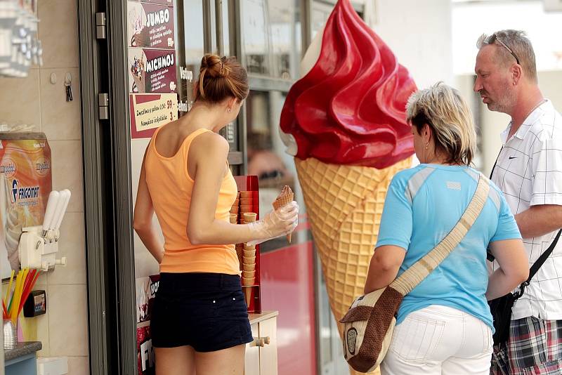 Sdružení obrany spotřebitelů kontrolovalo brněnské restaurace a cukrárny.