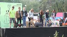 V brněnském parku Lužánky se konala umisťovací výstava psů z útulků.