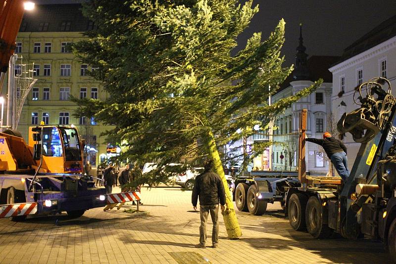 Náměstí Svobody má vánoční strom. Před spadnutím ho chrání dřevěné hranoly.