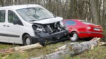 Silný vítr lámal stromy u silnice mezi Valtrovicemi a Křidlůvkami. Na projíždějící dodávku Peugeot jeden ze stromů spadnul. 