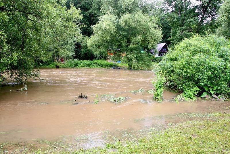 Řeka Jihlava u Ivančic na Brněnsku.