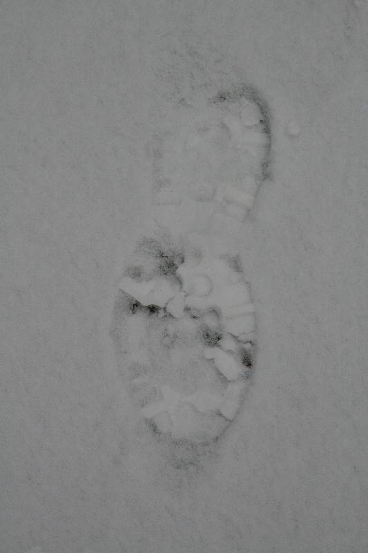 Ve čtvrtek ráno se lidé na Blanensku probudili do bílého. První sněhový poprašek udělal radost hlavně dětem. Méně nadšení už z něj byli motoristé. Na snímcích zasněžené ulice v Adamově.