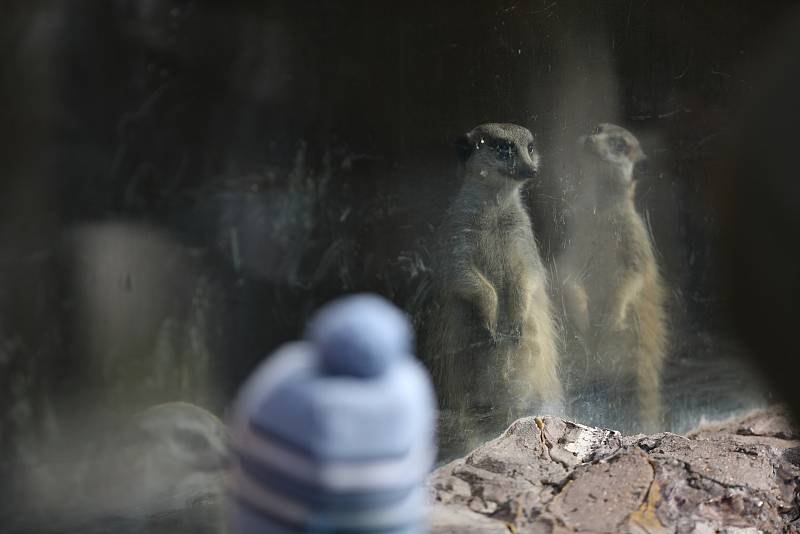 V Zoo Brno se uskutečnil program k vítání jara