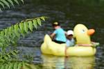 Festival Překročme řeku na černovickém nábřeží v Brně u řeky Svitavy.