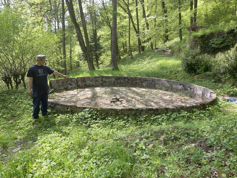 Památkáři a správci hradu Pernštejn se snaží o záchranu unikátní zahrady.