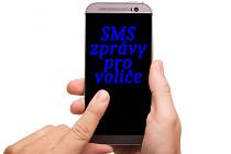 Pět otázek, lídři stran. Na nejdůležitější témata odpovídali lídři v unikátním předvolebním manuálu Deníku Rovnost SMS zprávy pro voliče.