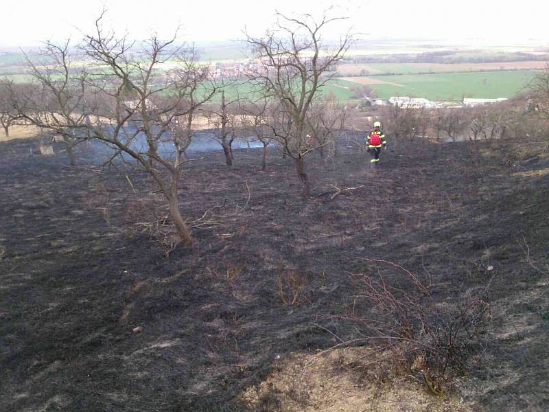 Požár trávy v Blučině na Brněnsku na ploše přibližně pěti fotbalových hřišť. Oheň poškodil ovocné stromy.