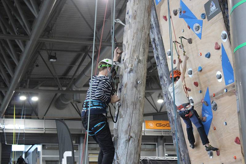 Nejrůznější druhy sportu, které se hrají ve stoje, vsedě i vleže, si mohli vyzkoušet návštěvníci festivalu Life! na brněnském výstavišti.