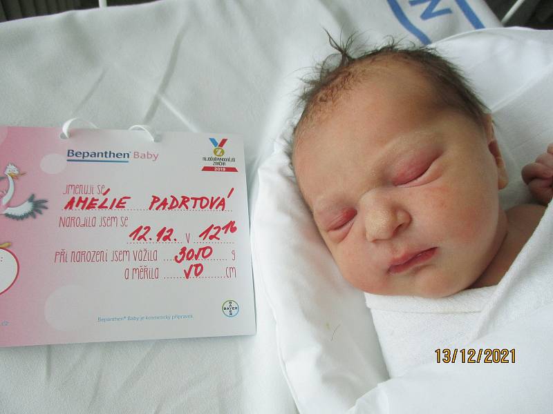 Amélie Padrtová, 12. prosince 2021, Břeclav, Nemocnice Břeclav, 3050 g, 50 cm