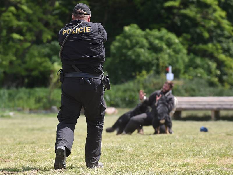 Dvacátý ročník Mezinárodního policejního mistrovství v jezdectví se konal v brněnské Panské Líše. Nechyběl ani doprovodný program s policejními ukázkami.