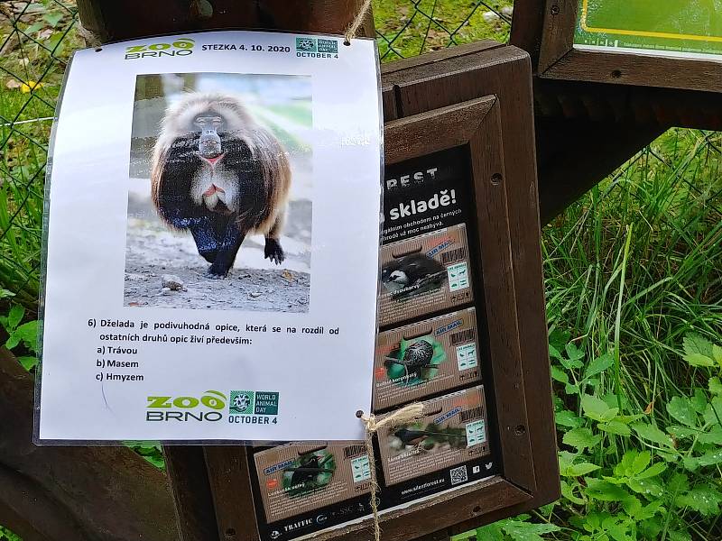 V brněnské zoo lidé oslavili Světový den zvířat.