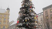 Centrum Brna zasypal sníh. Na snímku vánoční strom náměstí Svobody.
