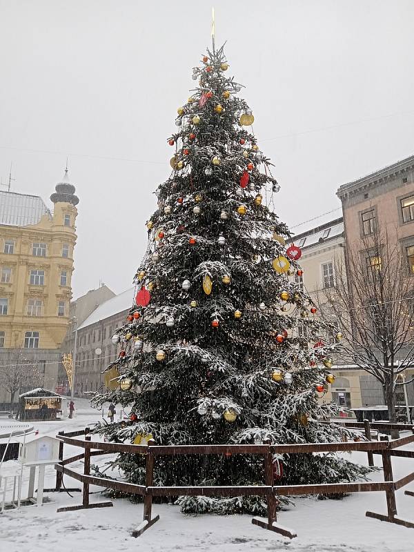 Centrum Brna zasypal sníh. Na snímku vánoční strom náměstí Svobody.