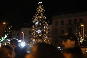 Rozsvícení vánočního stromu na náměstí Svobody v Brně