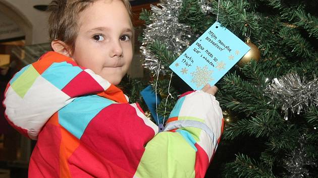 Dopisy pro Ježíška pověsily na vánoční stromeček děti z charitního azylového Domova svaté Markéty. 