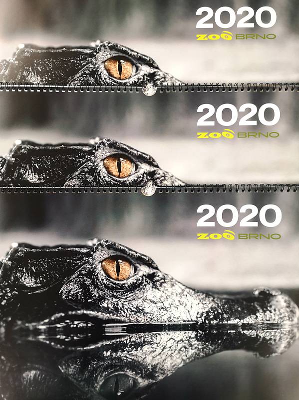 Zvířecí obyvatelé brněnské zoologické zahrady jsou hlavními hvězdami kalendáře zoo pro rok 2020.