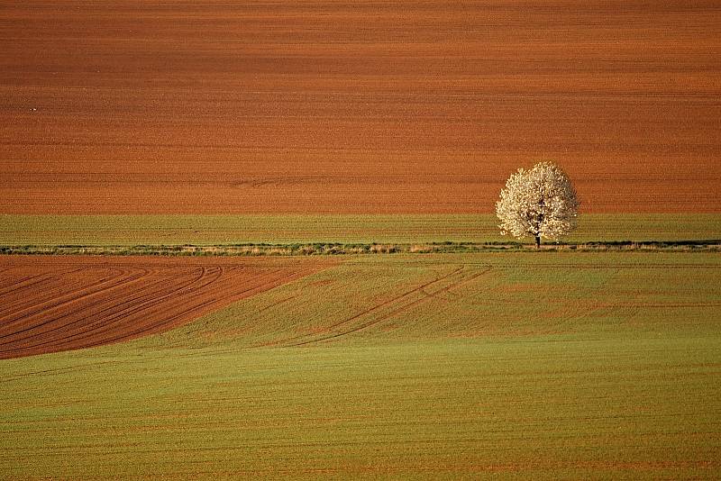 Jako připomínku přinášíme fotografie z minulých ročníků. Podzimní Kratochvilku dokázala zachytit Helena Hurtová.