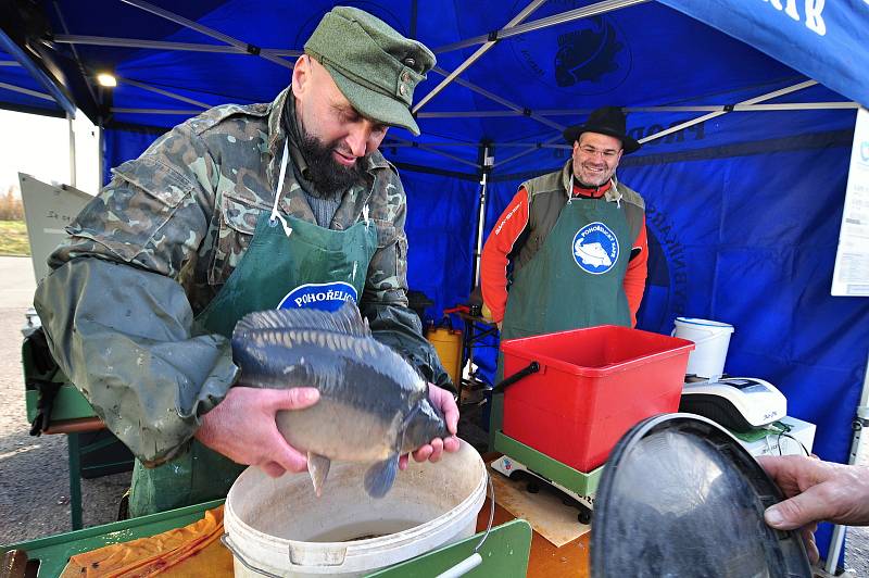 Prodej kaprů na sádkách ve Velkém Dvoře u Pohořelic na Brněnsku