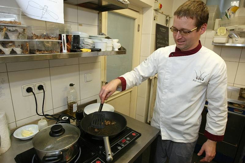 Hmyzí pochoutky nabízejí v restauraci Leporelo v brněnském Domě umění na Malinovského náměstí.