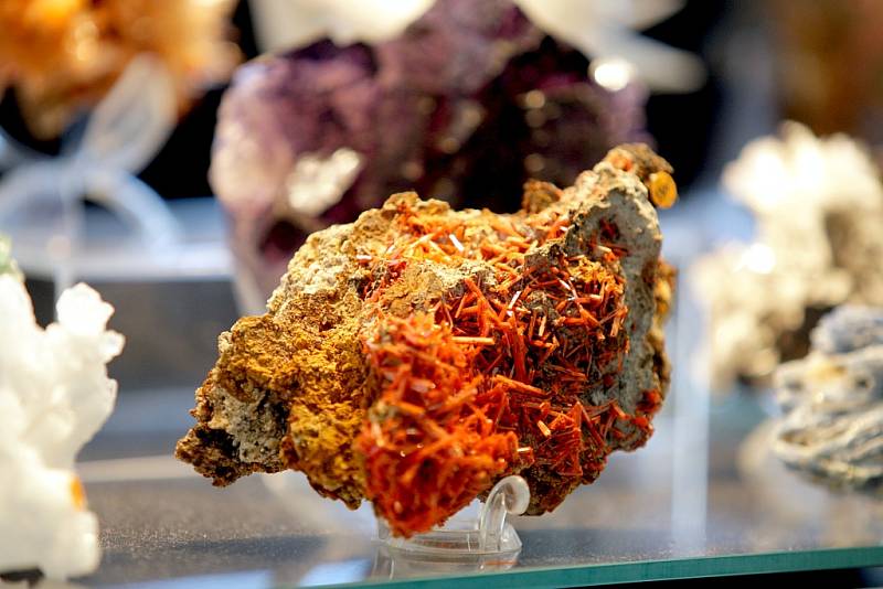 Nejrůznější minerály šlo o víkendu vidět v Tišnově. Konal se tu už 72. ročník světové výstavy těchto exponátů.