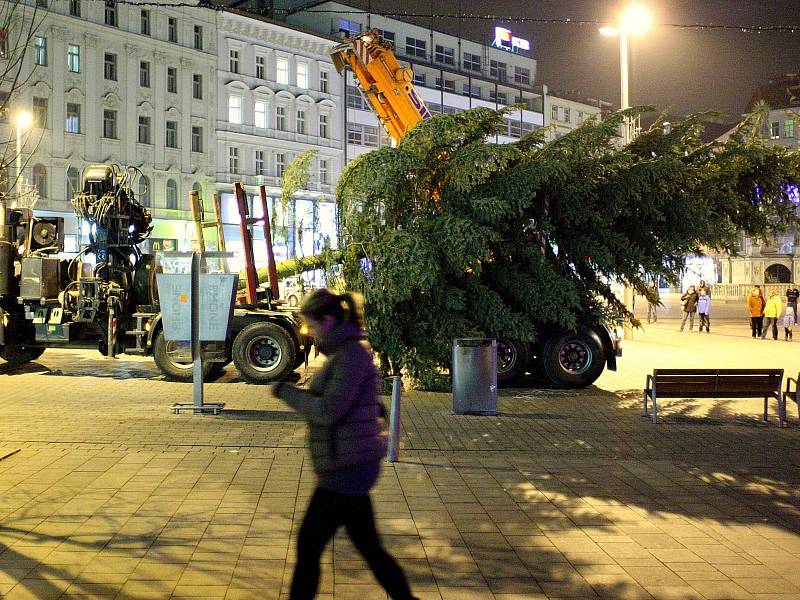 Náměstí Svobody má vánoční strom. Před spadnutím ho chrání dřevěné hranoly.