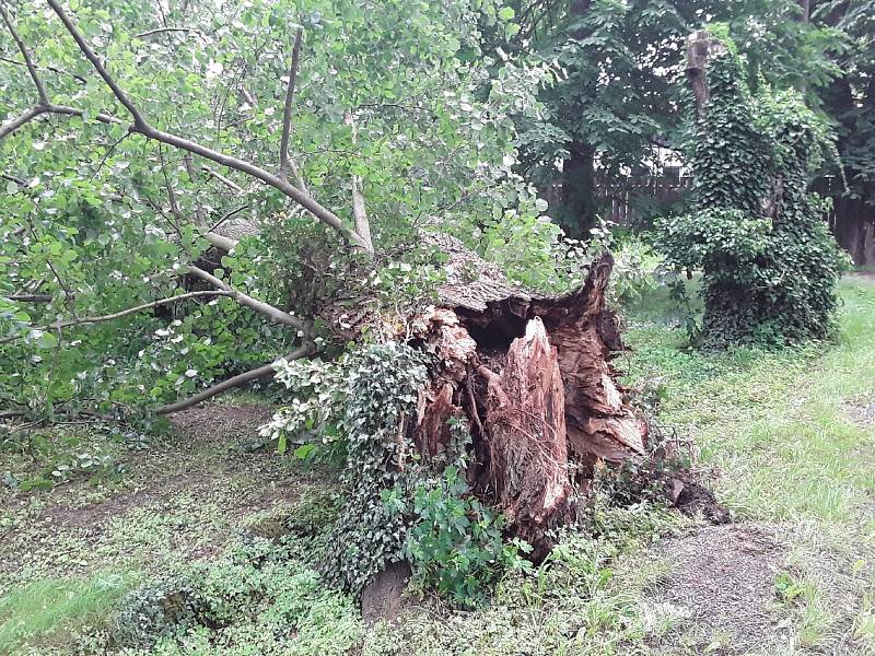 Čtyřicet událostí souvisejících s počasím o víkendu zaměstnalo jihomoravské hasiče. Převážně se jednalo o spadené stromy.