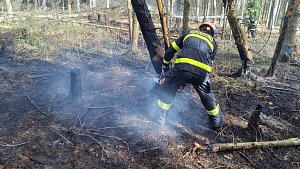 Požár lesního porostu na jihu Moravy.